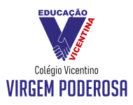 marca_educacao_vicentina_virgem_poderosa_vertical.png